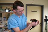 VETERINAIRE NAC 059